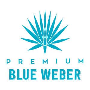 Blue Weber Agave